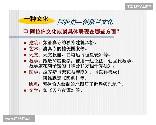 梅斯城市发展与历史文化的融合探析及其在现代化进程中的独特地位